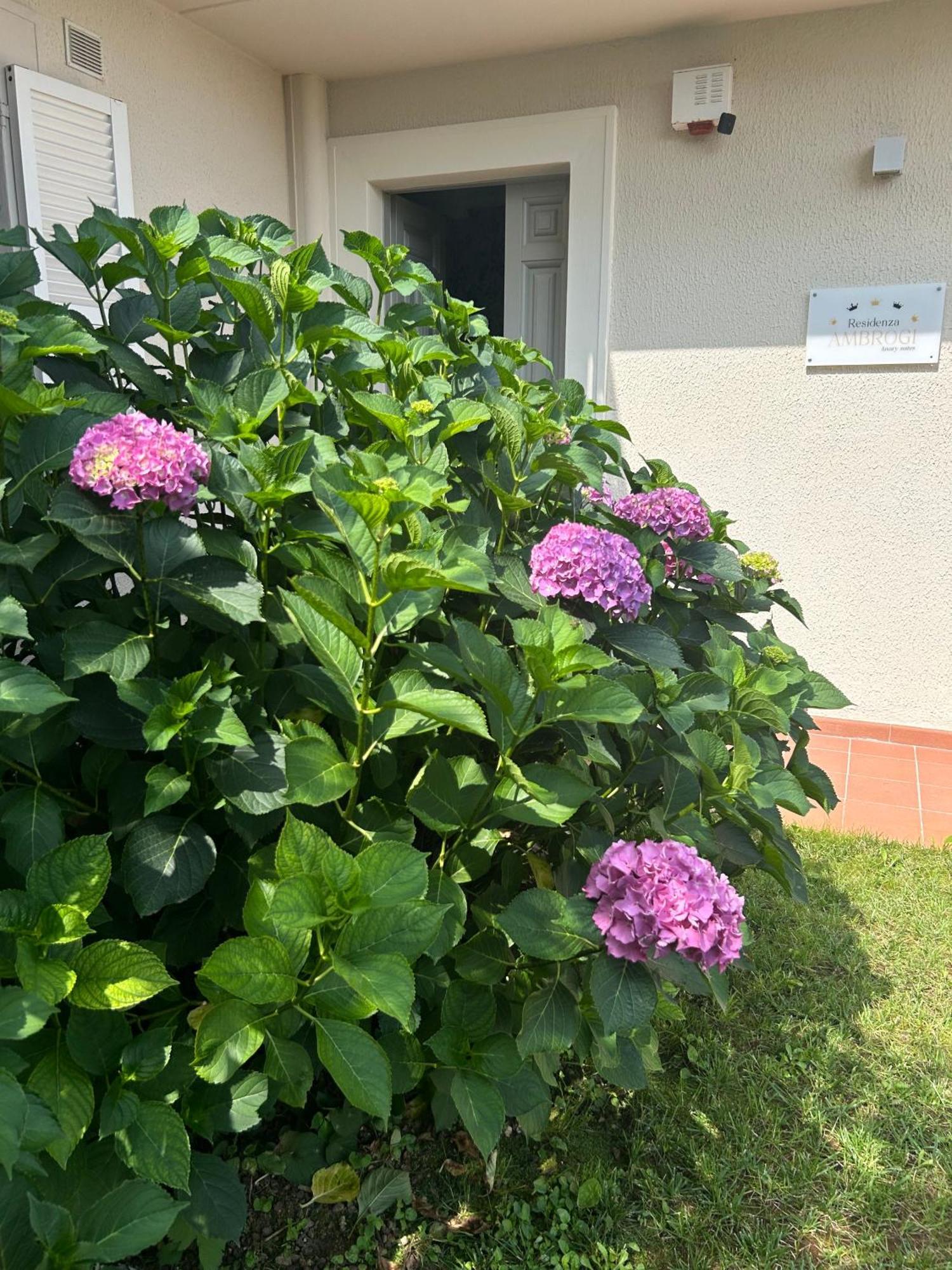 Aparthotel Residenza Ambrogi Urbino Exteriér fotografie