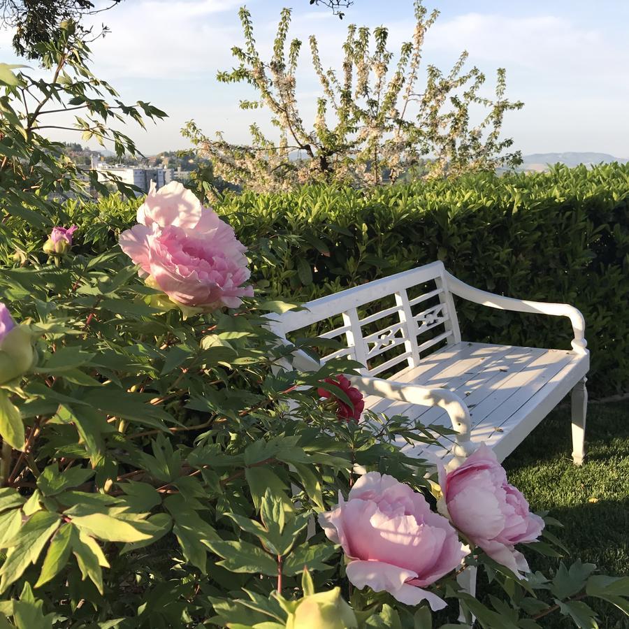 Aparthotel Residenza Ambrogi Urbino Exteriér fotografie